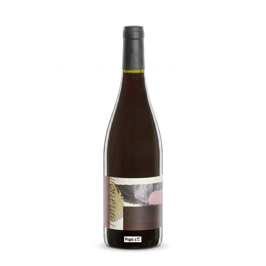 COTES DU RHONE DOMAINE RIOU "TENTATION" VIEILLES VIGNES