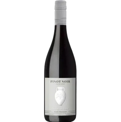 [102040] VAL DE LOIRE REMY PANNIER "PINOT NOIR"
